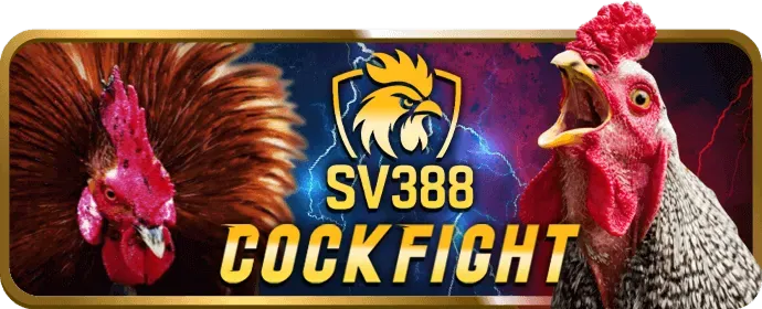 Minh họa các loại cookie khác nhau được f168 sử dụng để quản lý dữ liệu và đảm bảo quyền riêng tư.